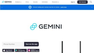 Gemini Crypto Estafa